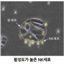 다나한방병원 이미지