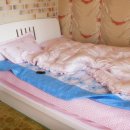 노블펜션 이미지