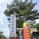 등억알프스로L 이미지