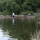 계곡식당민박 이미지