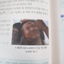교학사 한국일보