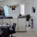 마루컨설팅 이미지