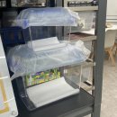 대구곤충마트 이미지