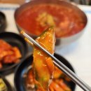 오로지생태한마리 이미지