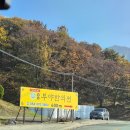 부부한의원 | 청도 부야한의원 : 부부 체질 검사 한약 내돈내산 방문 후기