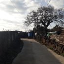 상모리-7 이미지