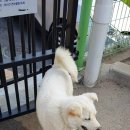 에버힐하우스펜션 이미지