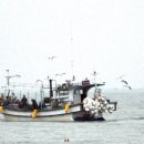 배미꾸미민박 이미지