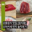 강릉참치 | 강릉참치 맛집 참치몽 오마카세 런치 솔직후기 (메뉴&amp;가격 총정리)