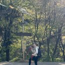 산에 | 3년 만에 다시 산에! 천마산 등산 후기 | RNRN 등산스틱 첫 사용기