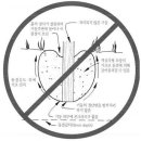 데크 시공 이미지