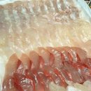 여수수산물특화시장 이미지