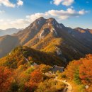 신원면 과정리 | 🌸 거창 감악산, 보랏빛 가을의 속삭임 🌸