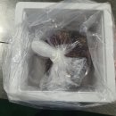 10월23일.홍가리비,과메기,석화굴,양식깐굴,참치오마카세,특왕전복,민물장어,특大피데기오징,노가리,코다리,특가멸치오마카세,생연 이미지