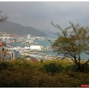 여수의 봄 Daum카페