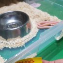 오룡농장 이미지