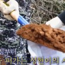 성현이네엄마
