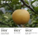 윤효경농장 이미지