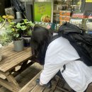 세븐일레븐 부산백양산로점