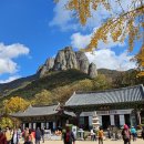 부남면169 | 경북 청송 가볼만한곳 주왕산 국내 단풍 명소 용추협곡 기암괴석 장관 승우여행사