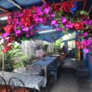 해피앤러브 이미지