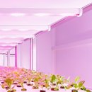 그로우와이즈(growwise)