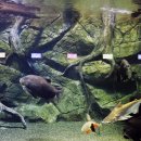 오시리아역 이미지