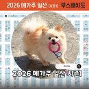 도그앤캣 | 2026 메가주 일산 시즌1 펫페어 라인업, 이벤트 정리