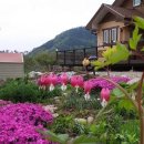 시실리민박 이미지