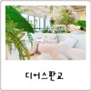 디어스판교 코리빙 레지던스 후기, 꿈 같은 하루하루