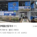 팔공산올레길 7코스 | 제주 올레길 7코스 완주후기(서귀포 올레여행자센터에서 서귀포버스터미널)