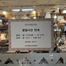 (주)고속에너지 | 고속터미널 꽃시장 새벽 탐방 후기 (feat. 주황꽃 찾아 삼만리)