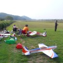 잔디 농장 이미지