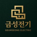 금성전기 - 포항시 북구 칠성로 13-2 | 금성전기