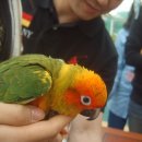 울산테마식물수목원 Daum카페