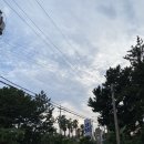 소랑호젠펜션 | 제주 남원읍 소랑호젠펜션 저렴한 숙소 추천, 제주도 한달살기 펜션 (제주도전기차충전소)