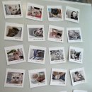 야옹아놀자 마곡점 이미지