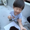 애벌레였던 장수풍뎅이 성충이되었어요 이미지