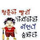아무고토 이미지