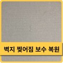 이사전 월세 벽지 찢어짐 보수 복원 잘하는 업체