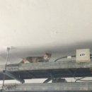 혜원자동차공업사 이미지