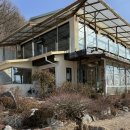 지내고탄로 | [춘천 카페] 쌀케이크 카페 ‘쉬러와’ 내돈내산 후기