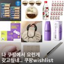 은성화장품코너 | 요즘 내가 쿠팡에서 사고 싶은 것들... 쿠팡 위시리스트(다이어트식품, 화장품, 미용 생활용품)