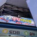 죽전어시장 | [보정동 카페거리] 속초 종합 어시장 죽전점 광어회 내돈내산 후기 / 용인 횟집 추천