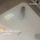 휘트니스메이트 | 피트니스메이트 독산점 피티 20회 다이어트 후기_내돈내산