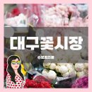 씨유 대구역서원프레시빌점 | 대구 칠성시장 꽃시장 2층 꽃백화점에서 생화 구입 후기