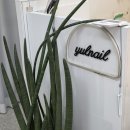 (유)초지 | 안산 속눈썹펌 잘하는 곳 추천 원곡동 율네일 무쌍에서 유쌍된 후기