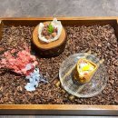 비플레이트 삼성점 | 한우구이맛집 민규 삼성점
