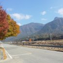 시몬농장 이미지