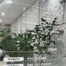 혜성정형외과의원 네이버블로그